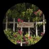 تهاني's profile picture