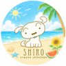 shota.k 的头像