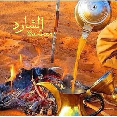shard_200's profile picture