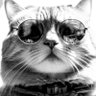 コピルアク profil fotoğrafı