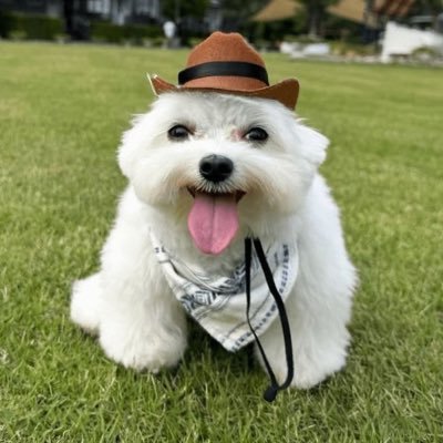 aleee's profile picture