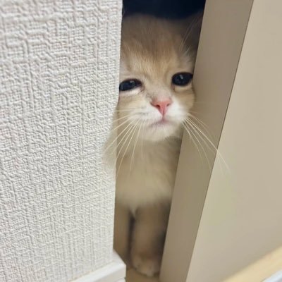 .ter's profile picture