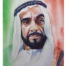 سلطان القبيسي's profile picture