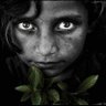 🔻إيلاف قريش profil fotoğrafı