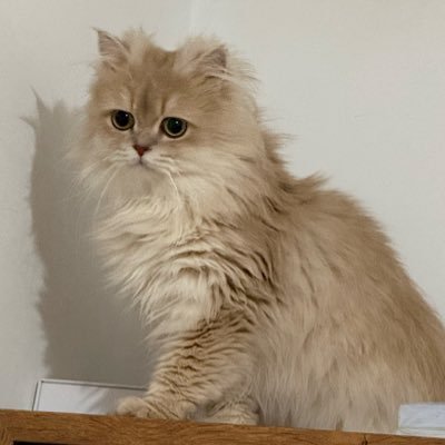Antdwnbnb666's profile picture
