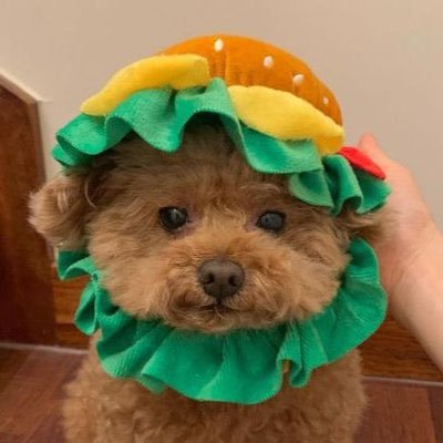 bluemood*'s profile picture