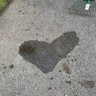 Flowstate's profile picture