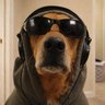 Profilbild von dotnet run flei