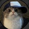 sssspenguin 🧪 profil fotoğrafı