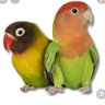 فليكن العالم انا's profile picture