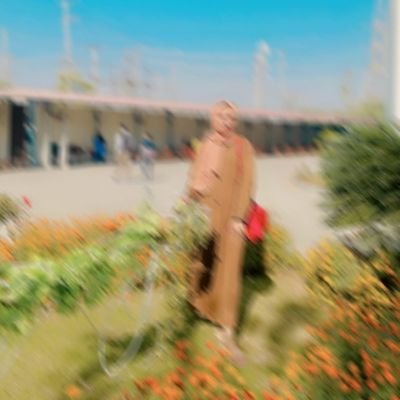 SyedaMehreen13's profile picture