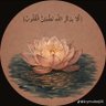 NAJD's profile picture