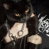 Profilbild von rosin