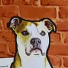 For naughty dogs's profile picture