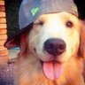 Profilbild von mika