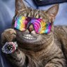 Angello's profile picture