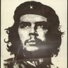 king adam 的头像