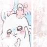 Jesterbait🟥🟦 的头像