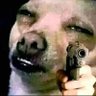 Jr rodriguez's profile picture