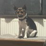 Profilbild von nathan