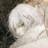 pedro🌿 profil fotoğrafı