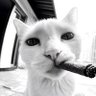 Don_Nad1e's profile picture