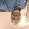 LaGerald HAYWOOD profil fotoğrafı