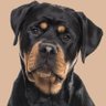 Beware of Dogs 🐶's profile picture