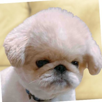 mos_peki's profile picture