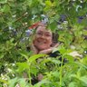 Sarah's profile picture