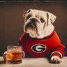 Jason Bentley's profile picture