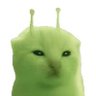 bapwnl's profile picture