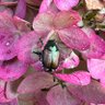 Фото профиля hollenfeurerwaffe