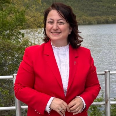nigar ayyıldız's profile picture