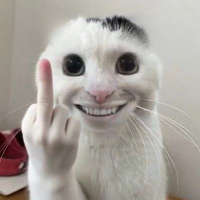 红尘飞's profile picture
