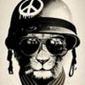Profilbild von OBSERVER-X