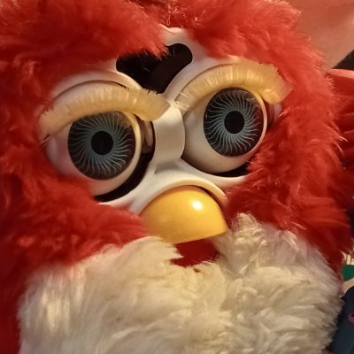 LAPSUS 🌵's profile picture