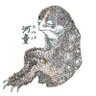 Profilbild von Trisagion23