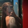 ★'s profile picture