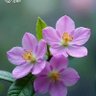 Фото профиля கண்ணன்