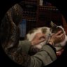 Profilbild von L
