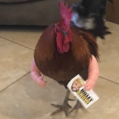 MagaDog11's profile picture