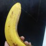 Kadut's profile picture