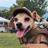 CacahuateVanGogh's profile picture