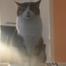 Stefa95's profile picture