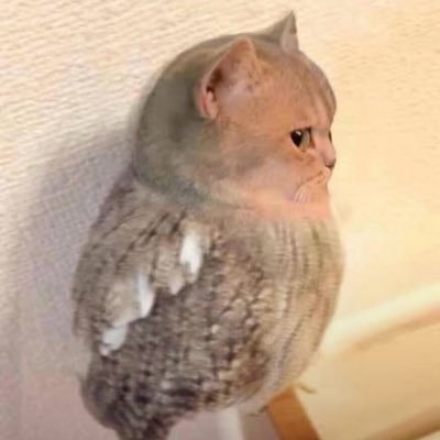 princ3ssm3liya's profile picture