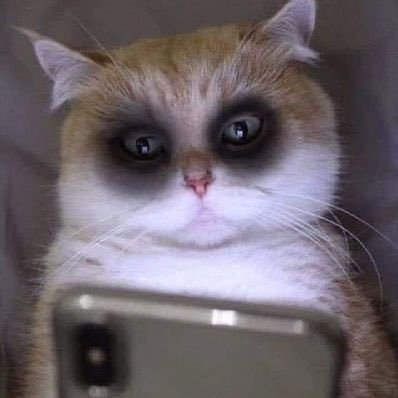 มัมหมีTFO (MOMMYTFO)'s profile picture
