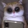 Profilbild von MOMMYTFO