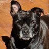ToMoCoPo's profile picture