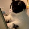 Xylia's profile picture